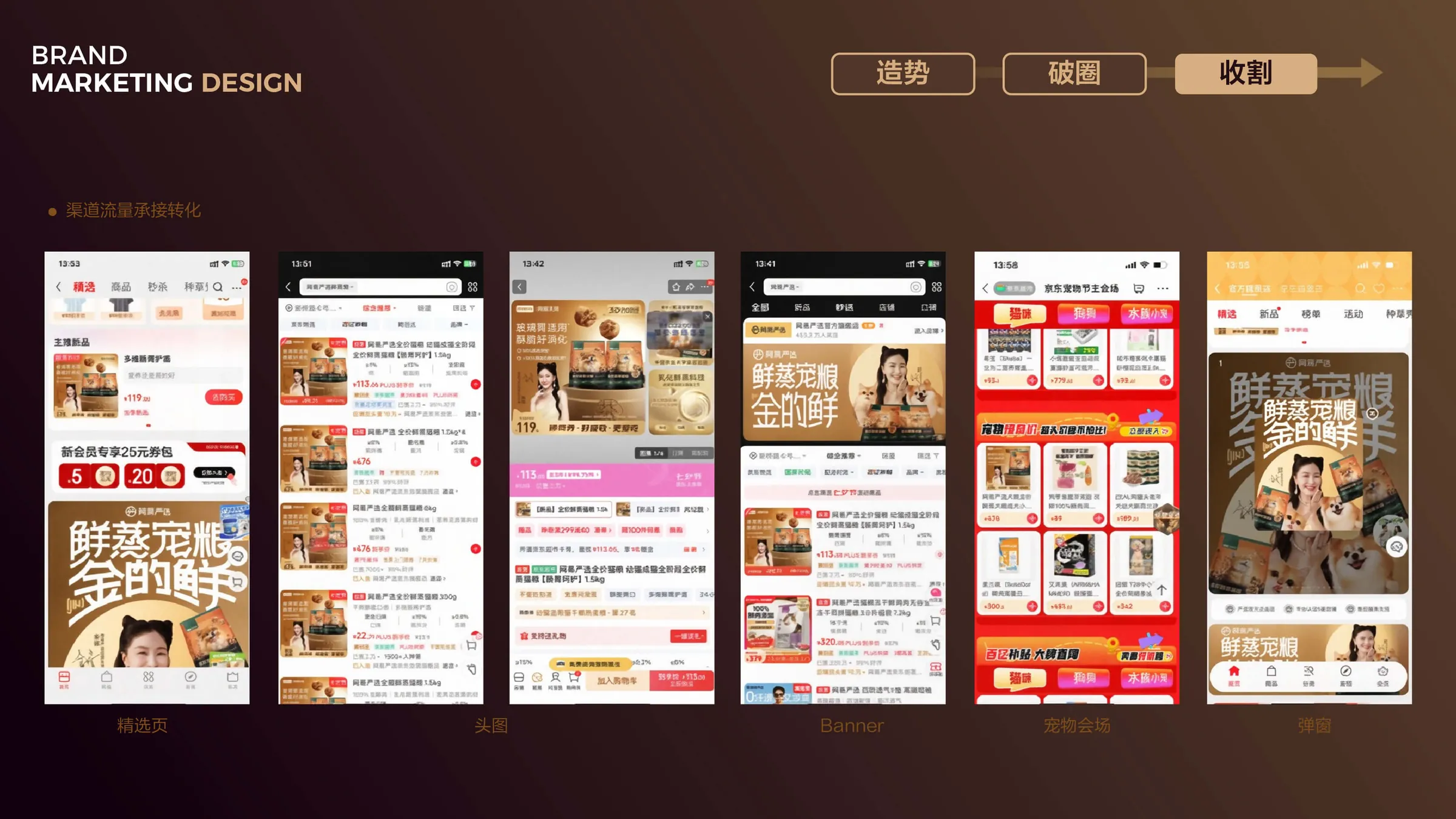 网易严选鲜蒸猫粮新品营销 case study 06